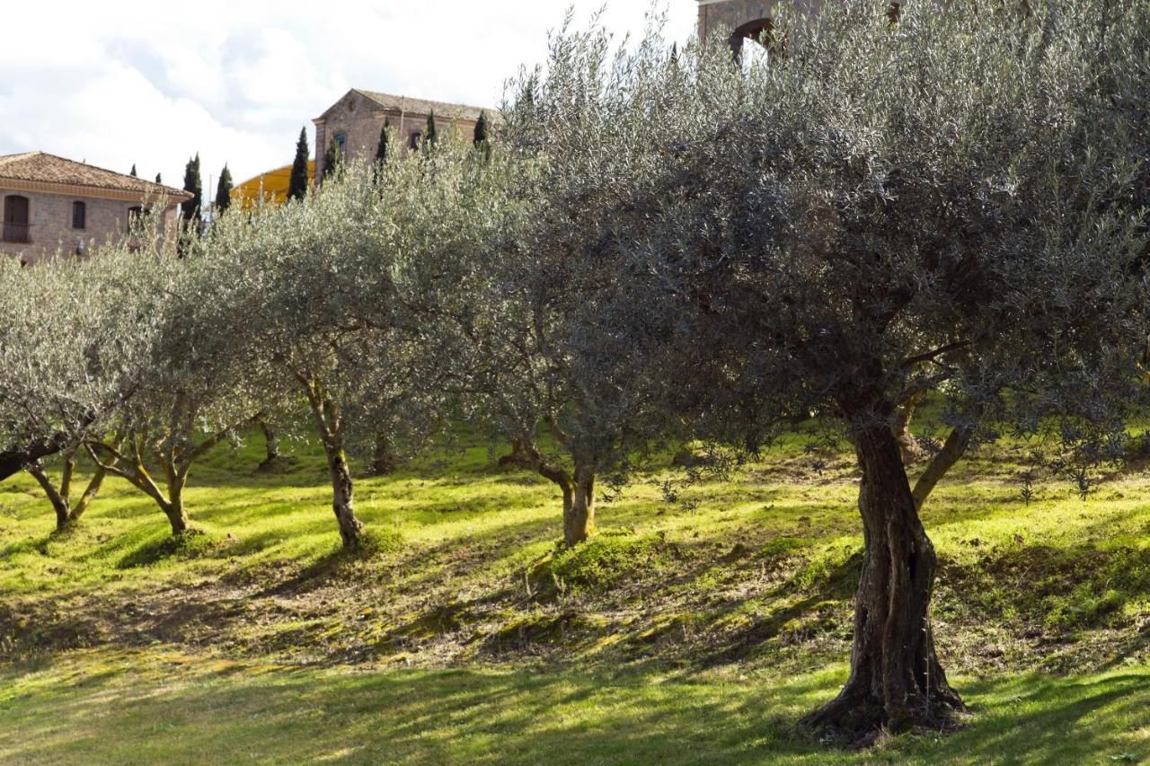 Tenute Gigliotto - B&B - Resort Wine - Agriturismo San Cono Bagian luar foto